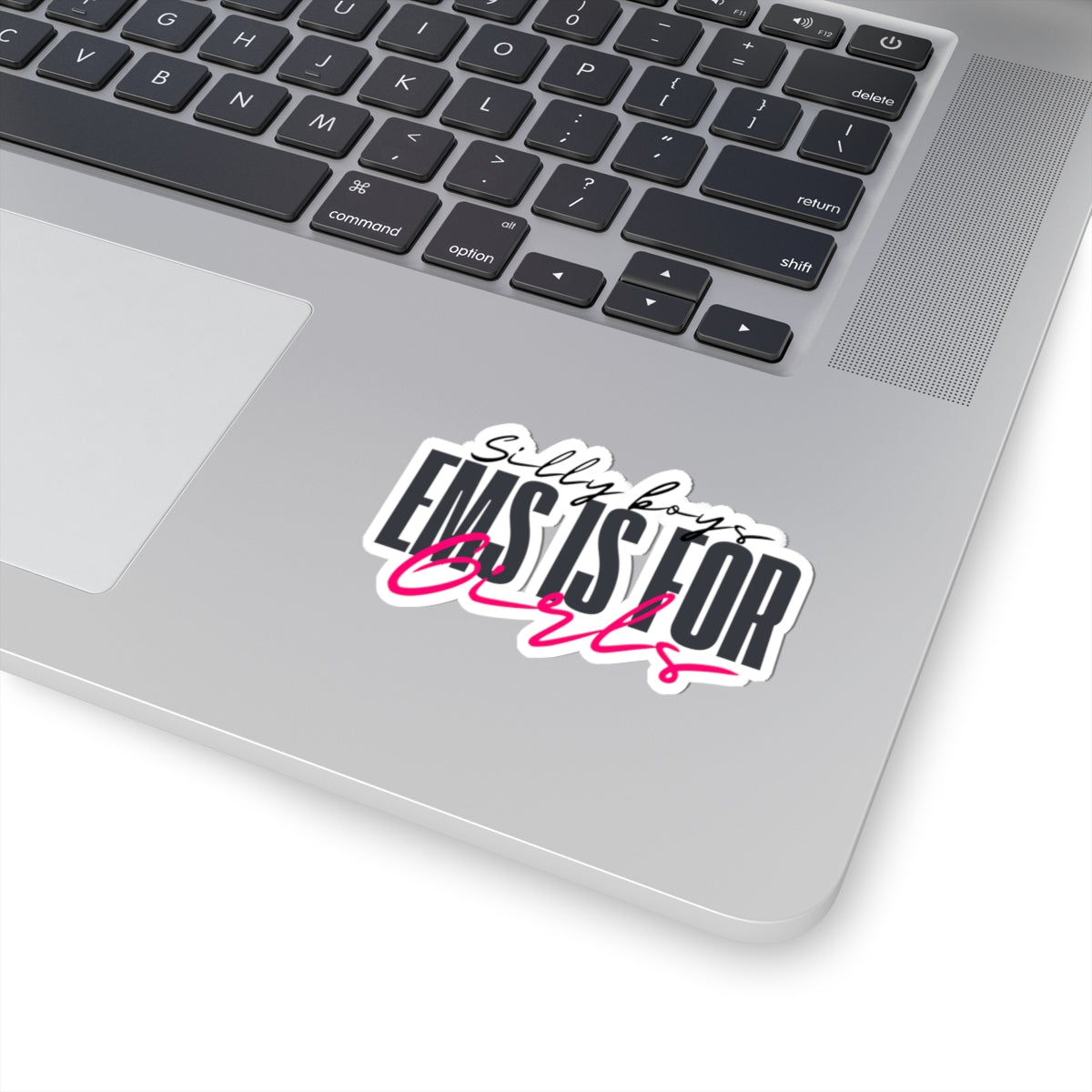 Empowering Girls Kiss-Cut Stickers | Silly Boys EMS is for Girls