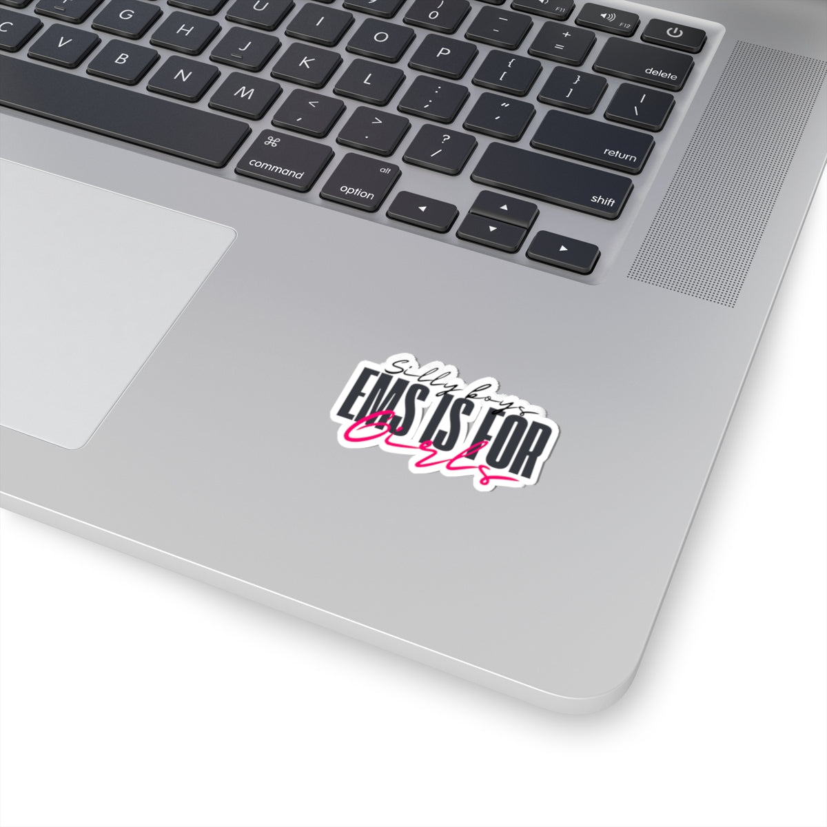 Empowering Girls Kiss-Cut Stickers | Silly Boys EMS is for Girls