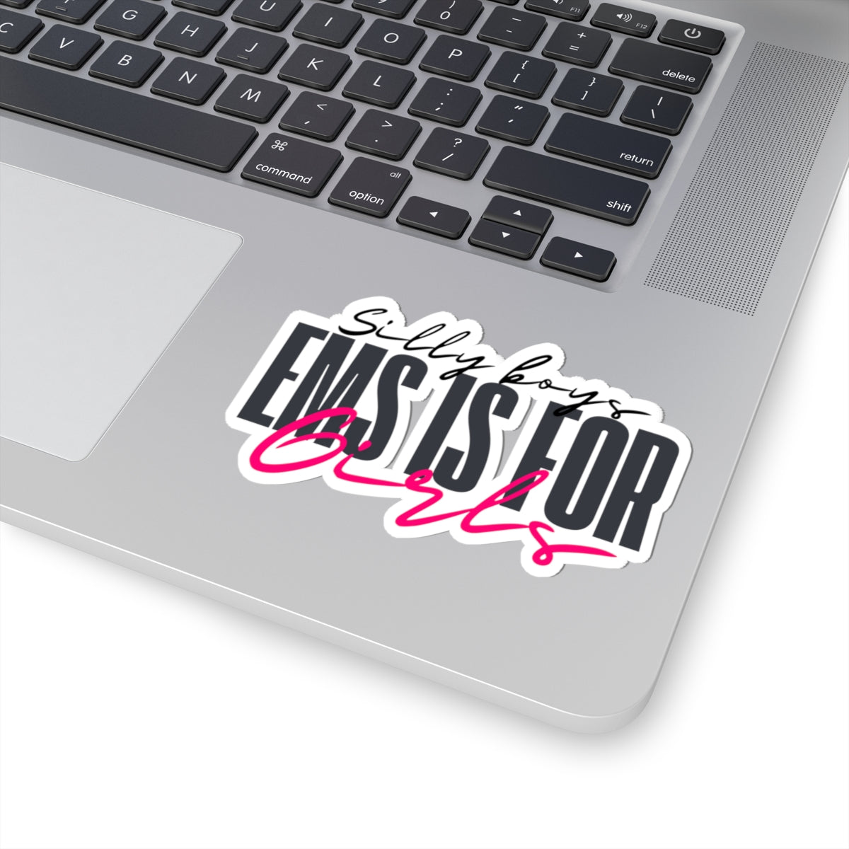 Empowering Girls Kiss-Cut Stickers | Silly Boys EMS is for Girls