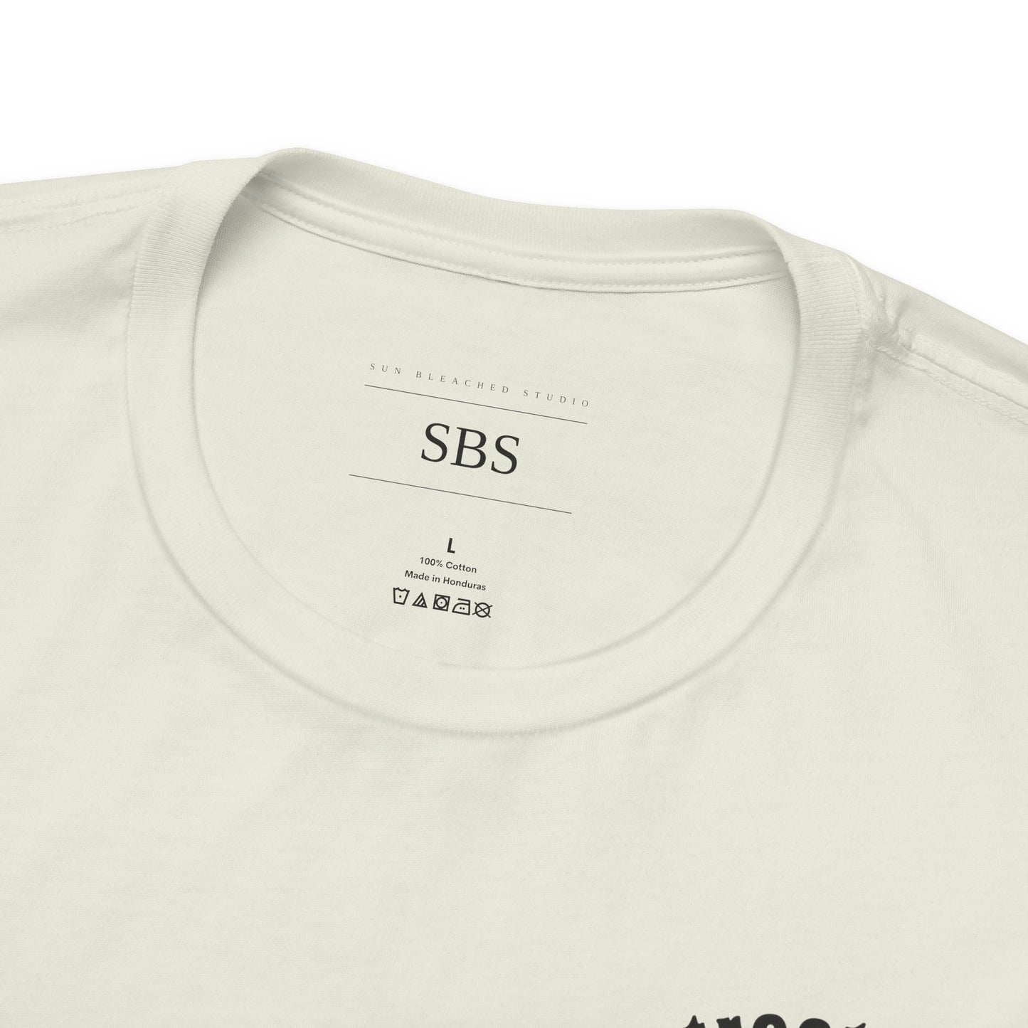 Main Street for Life| Disneyland Inspired Tshirt | Vacation T shirt| Custom Shirt