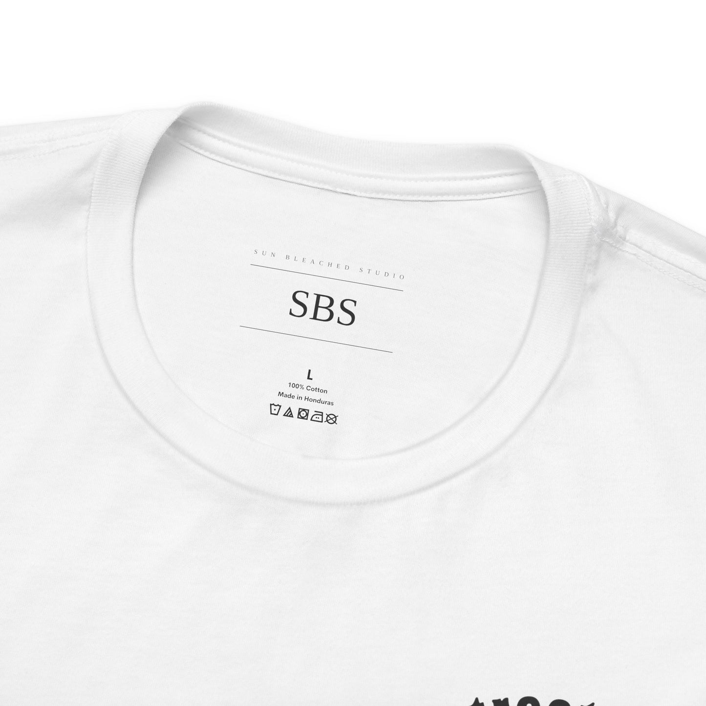 Main Street for Life| Disneyland Inspired Tshirt | Vacation T shirt| Custom Shirt